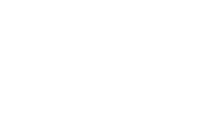 Logo bianco